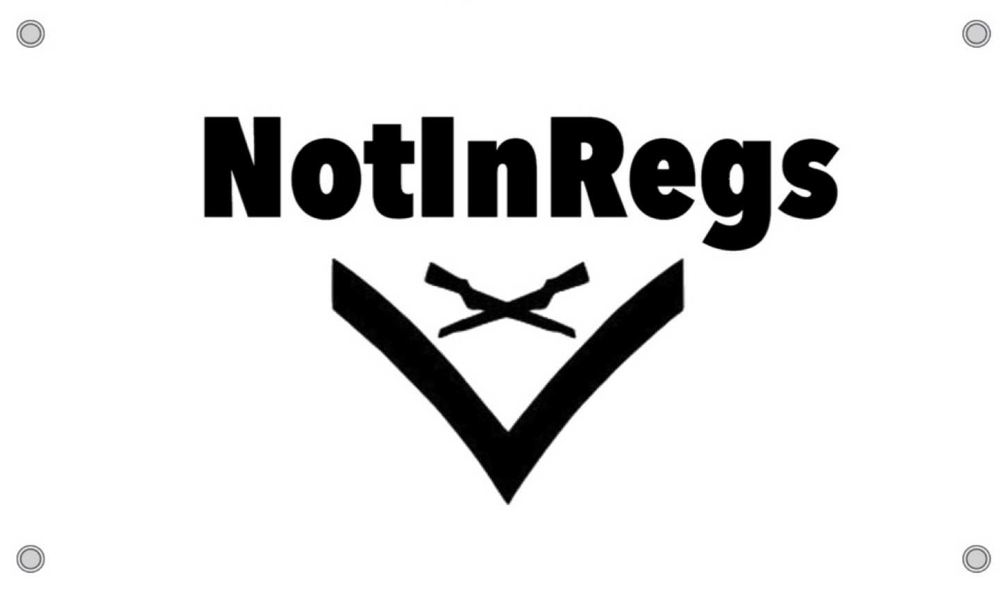 NotInRegs Logo Flag