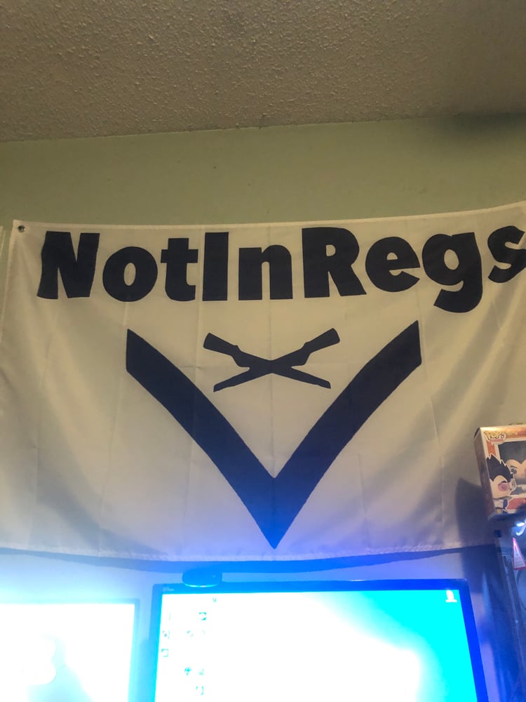 NotInRegs Logo Flag