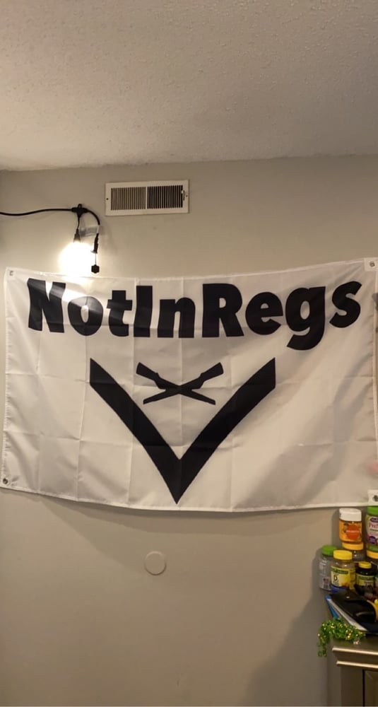 NotInRegs Logo Flag