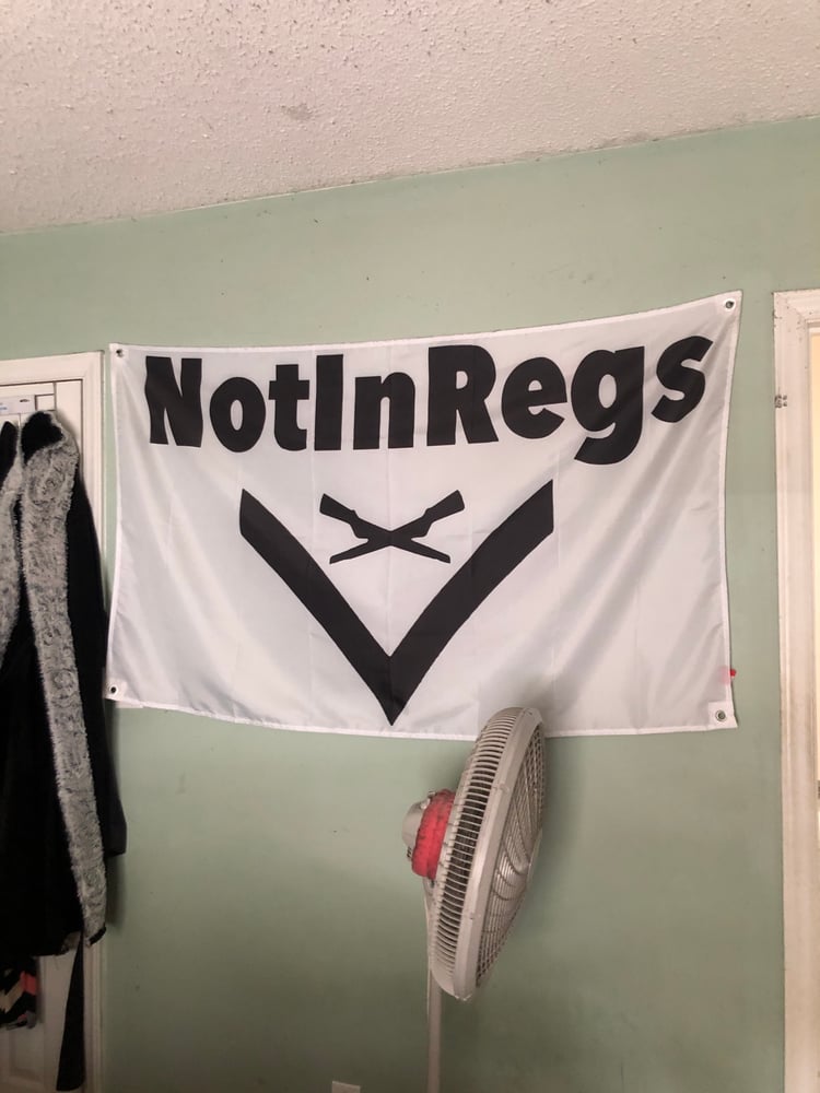 NotInRegs Logo Flag